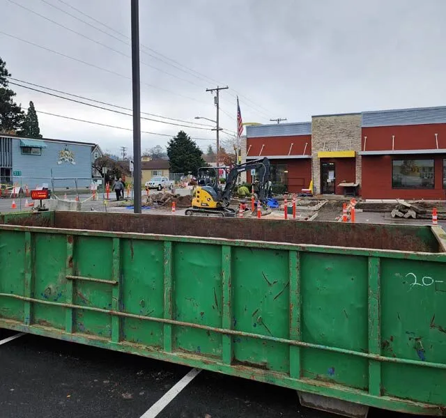 Demolition Dumpster Rentals Bellevue,Demolition Project Dumpster Rentals,Bellevue Dumpster Rentals